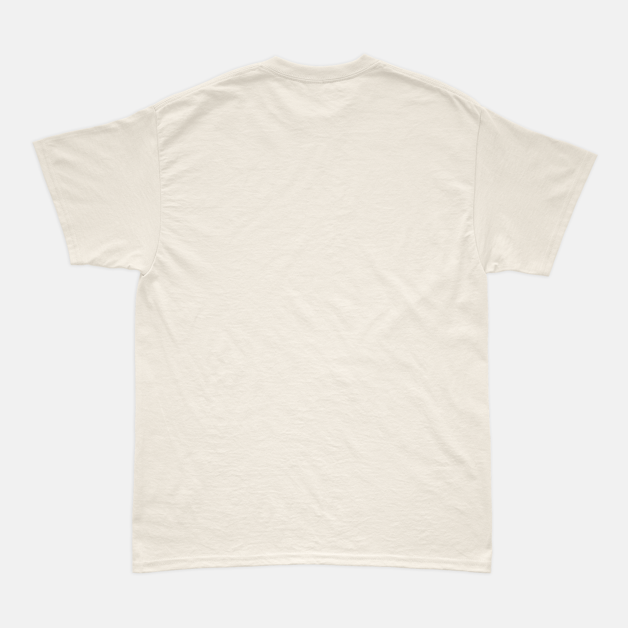 Camiseta RaioX Charles Leclerc Off White Algodão