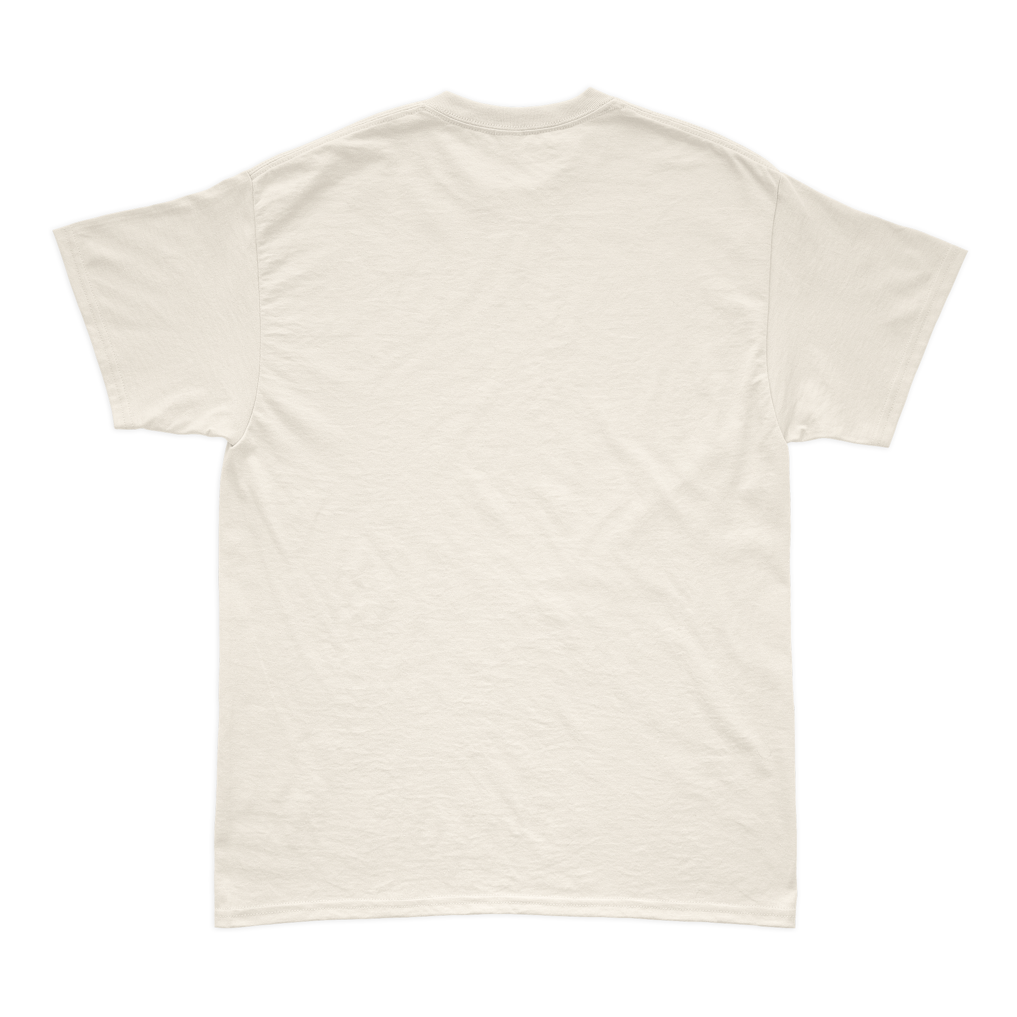 Camiseta Lewis Hamilton 2025 Dani-se Algodão