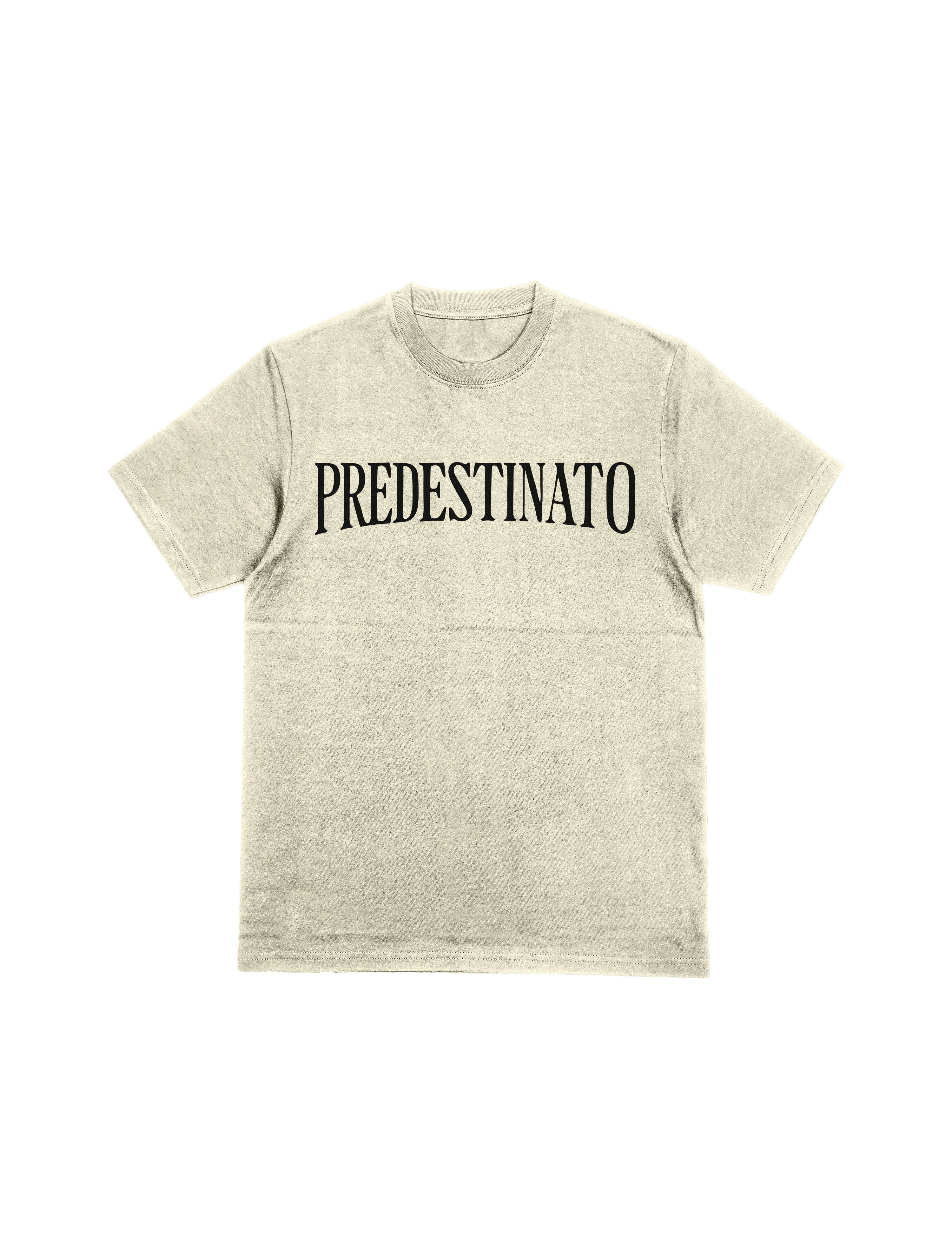 Camiseta Oversized Leclerc Predestinato Off White Card
