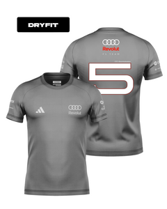 Camiseta Dryfit Audi Bortoleto 2026 Cinza