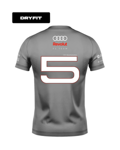 Camiseta Dryfit Audi Bortoleto 2026 Cinza