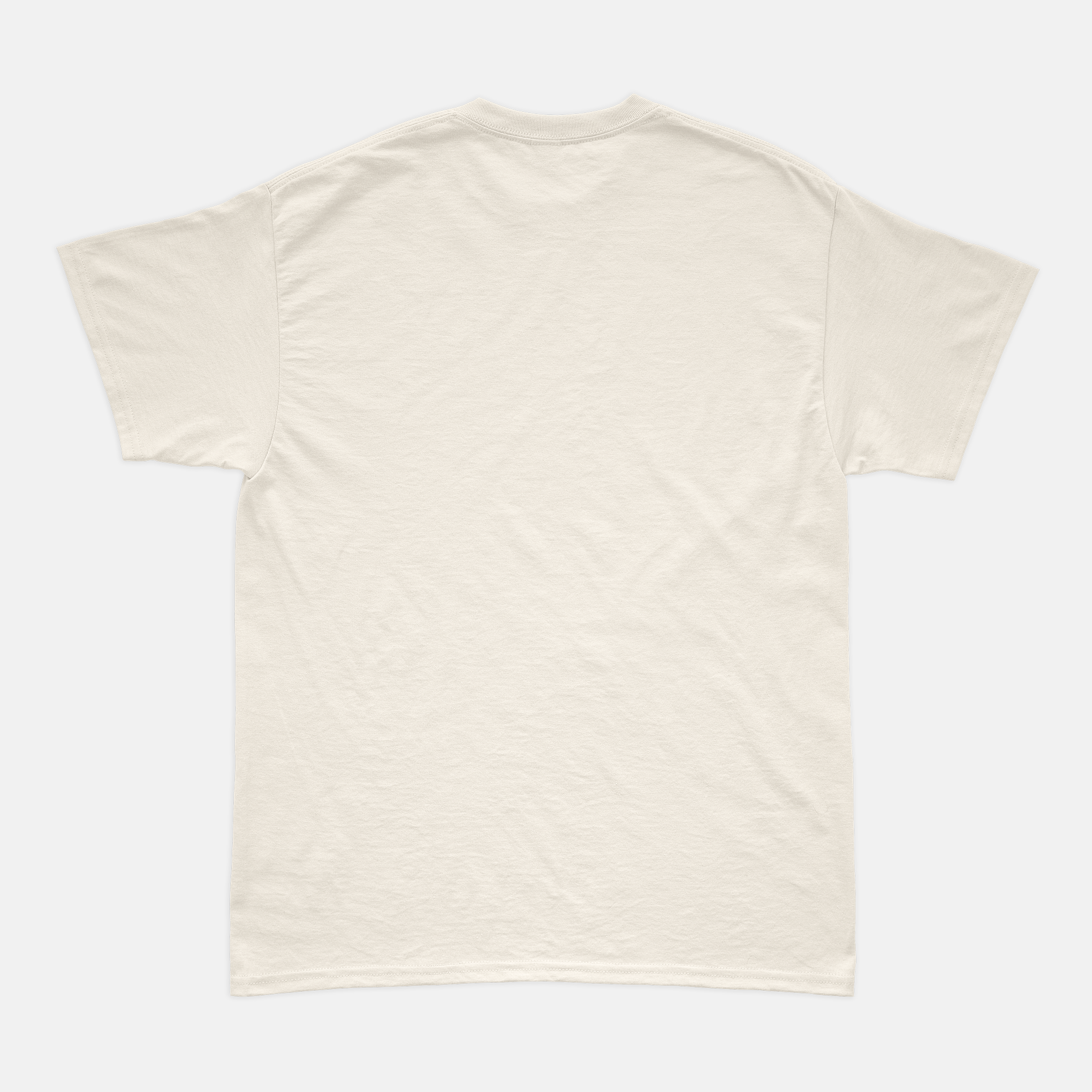 Camiseta RaioX Charles Leclerc Off White