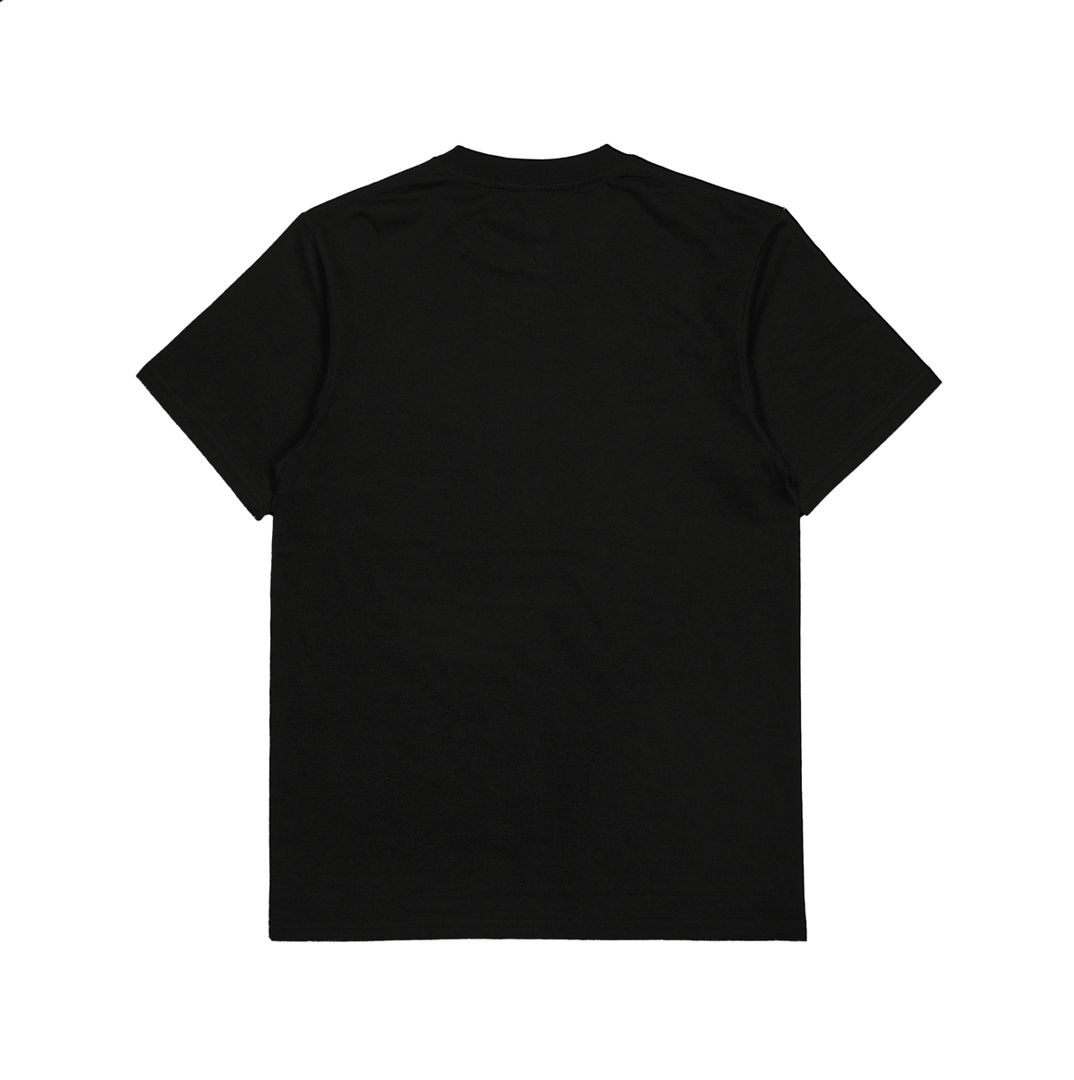 Camiseta Oversized Charles Leclerc 2026 Especial Aniversário