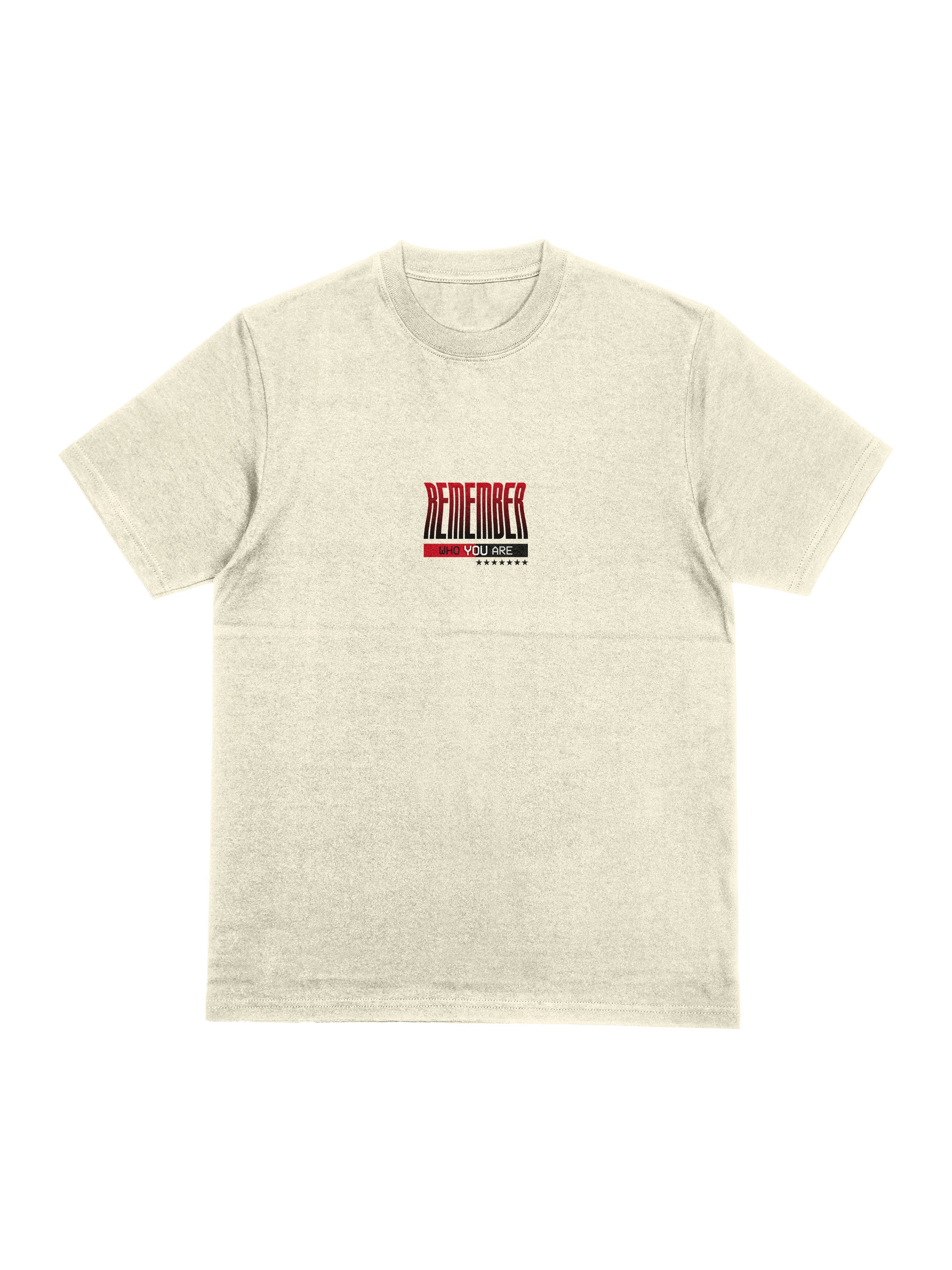 Camiseta Oversized Lewis Hamilton Remember Who You Are - Off White