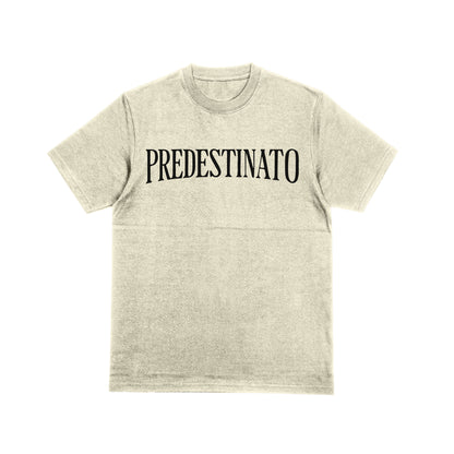 Camiseta Oversized Leclerc Predestinato Off White Card